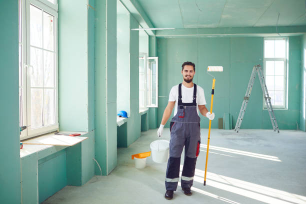 Best Post-Construction Mold Inspection  in Holly, MI