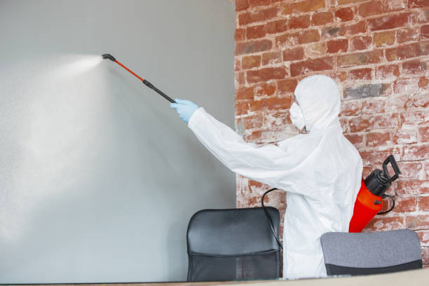 Best Dehumidification Services  in Holly, MI
