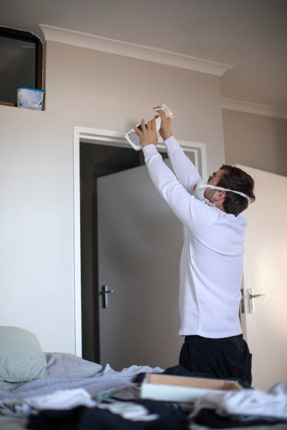 Best Mold Remediation for Rental Properties  in Holly, MI