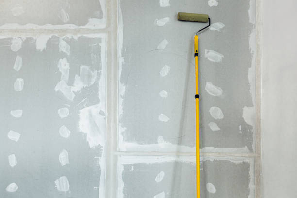 Best Attic Mold Removal  in Holly, MI