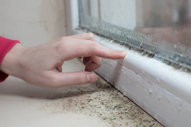 Mold Remediation for Rental Properties in Holly, MI