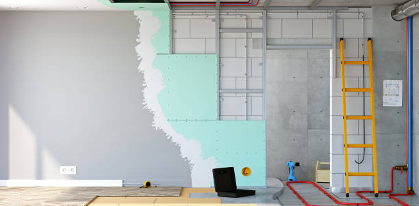 Best Commercial Mold Inspection  in Holly, MI