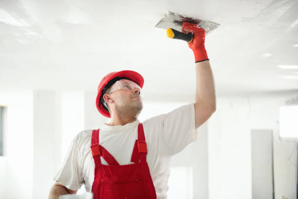 Biohazard Mold Removal in Holly, MI