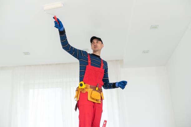 Professional Mold Removal in Holly, MI