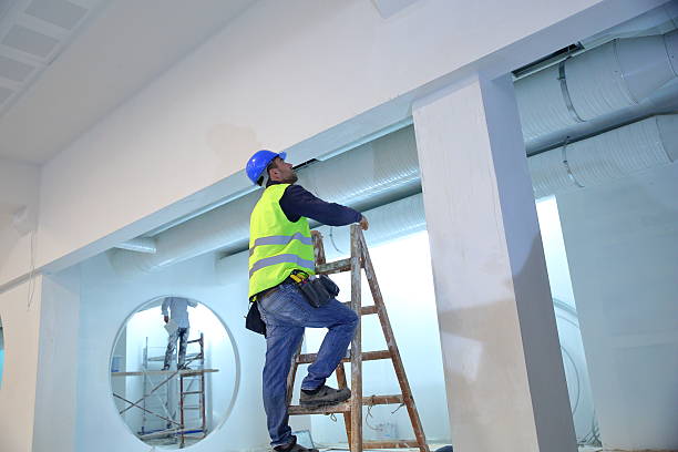 Best Mold Damage Restoration  in Holly, MI
