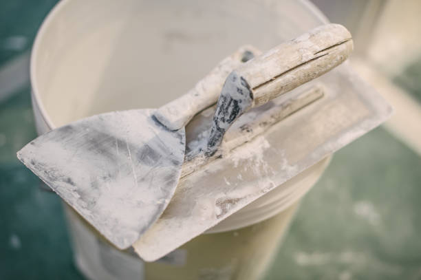 Best Water Damage & Mold Remediation  in Holly, MI