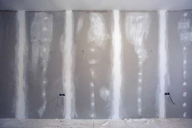 Best Basement Mold Removal  in Holly, MI